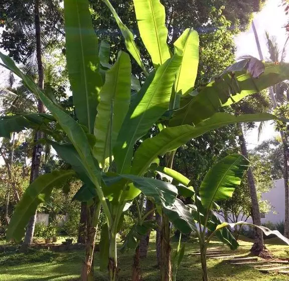 Uyana Boutique Hotel And Retreat Adults Only