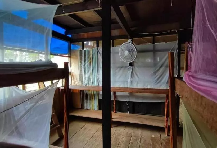 Retkeilymaja Hospedaje Y Tours Reina Arriera Amazonas Colombia