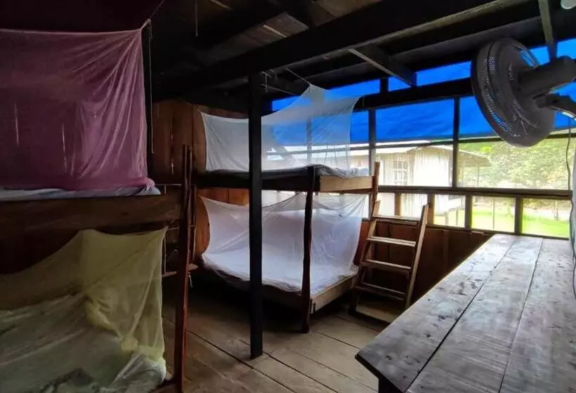 Retkeilymaja Hospedaje Y Tours Reina Arriera Amazonas Colombia