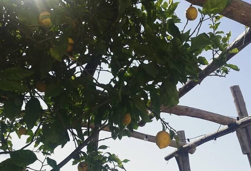 צימר Torre Elisea