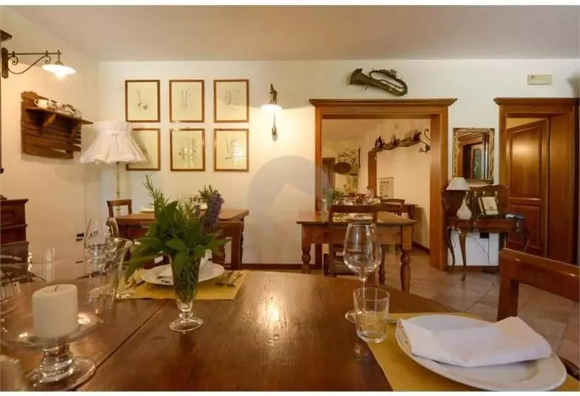 ホテル Agriturismo Ca  Andreana