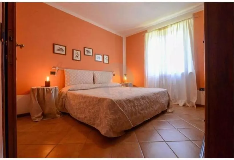 ホテル Agriturismo Ca  Andreana