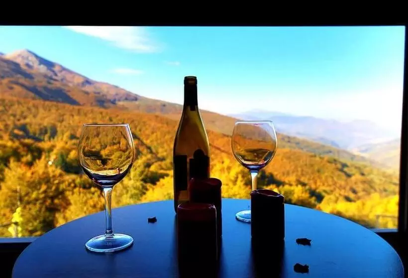 هتل Borjomi Classic