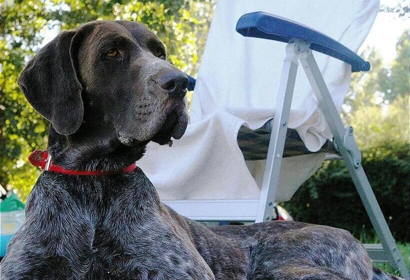 אתר נופש Mobilhome Standard