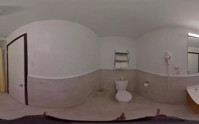 Buffalo Inn Vintage Motel