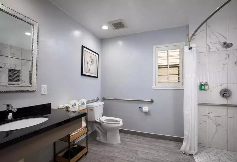 酒店 Candle Light Inn