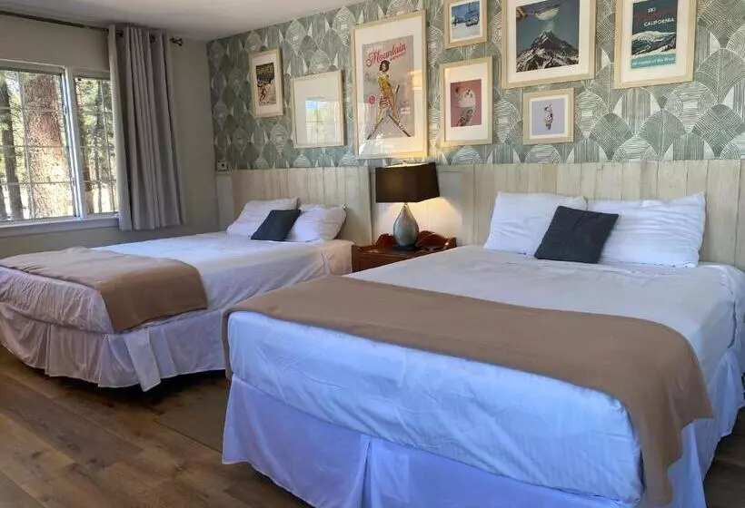 فندق Cinnamon Bear Inn