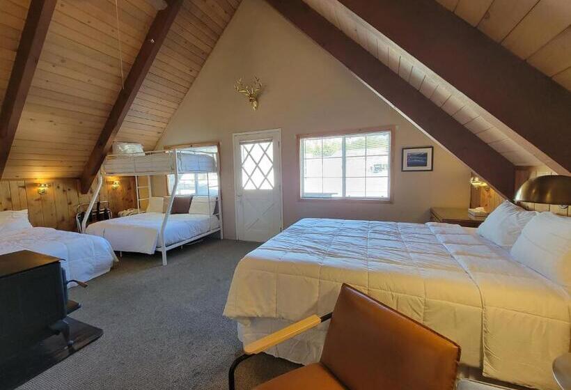 酒店 Cinnamon Bear Inn