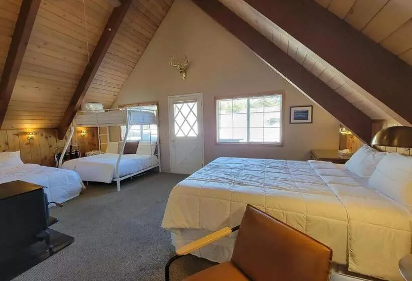 فندق Cinnamon Bear Inn