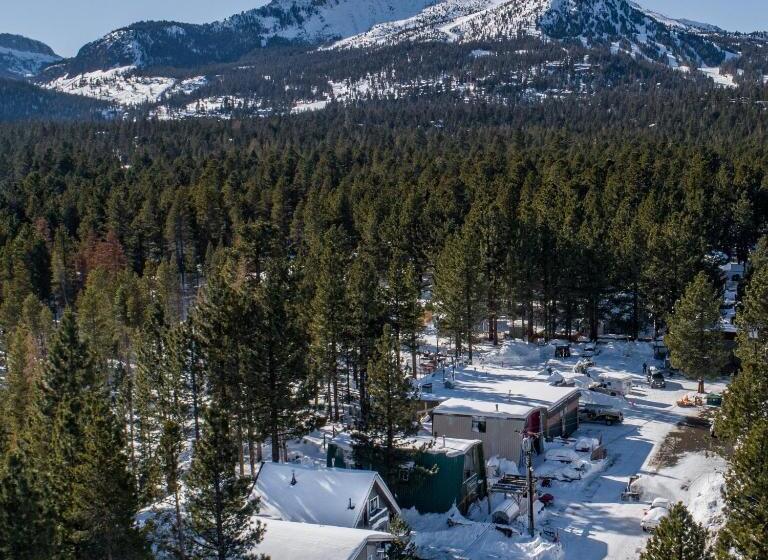 酒店 Cinnamon Bear Inn