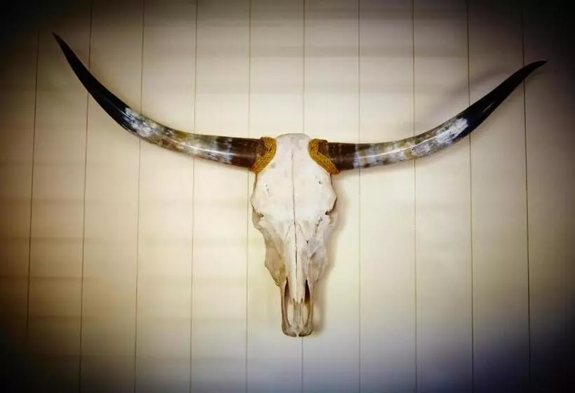 酒店 Laguna Beach House