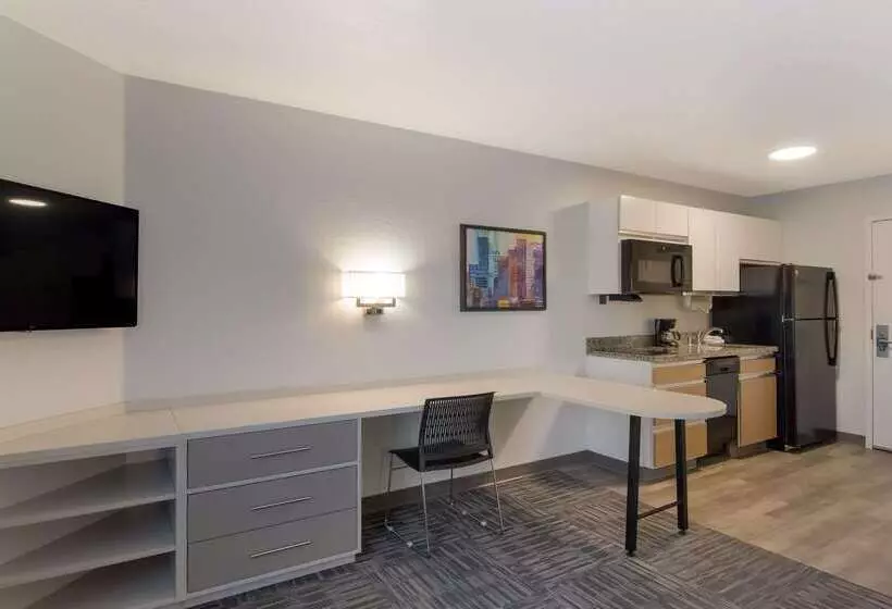 Отель Mainstay Suites Denver Tech Center