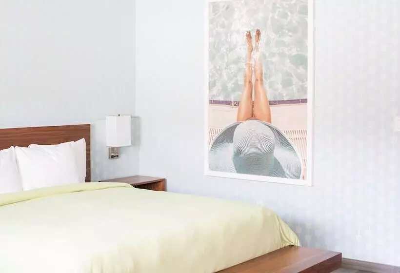 Отель The Skylark, A Palm Springs