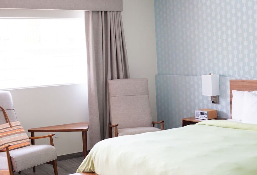 فندق The Skylark, A Palm Springs