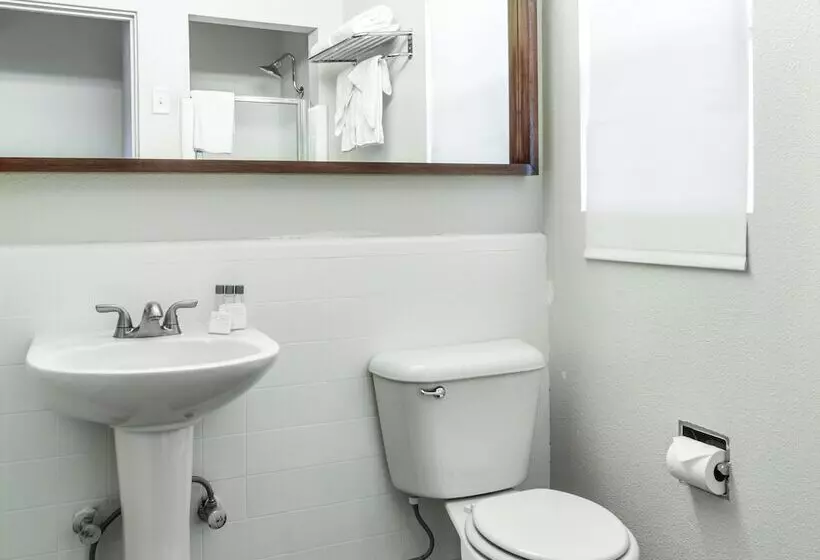 Отель The Skylark, A Palm Springs