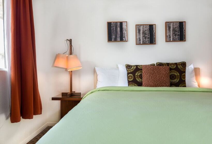 فندق The Skylark, A Palm Springs