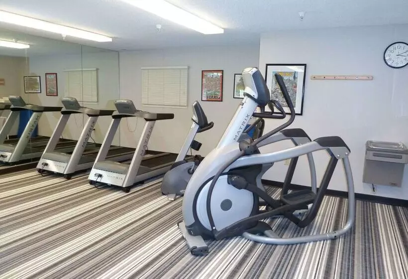 Отель Sonesta Simply Suites Chicago Libertyville