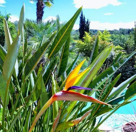 Aamiaismajoitus (B&B) La Dolce Vita Opio