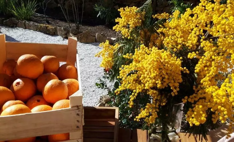 Aamiaismajoitus (B&B) La Dolce Vita Opio