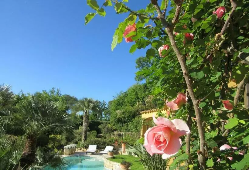 Aamiaismajoitus (B&B) La Dolce Vita Opio