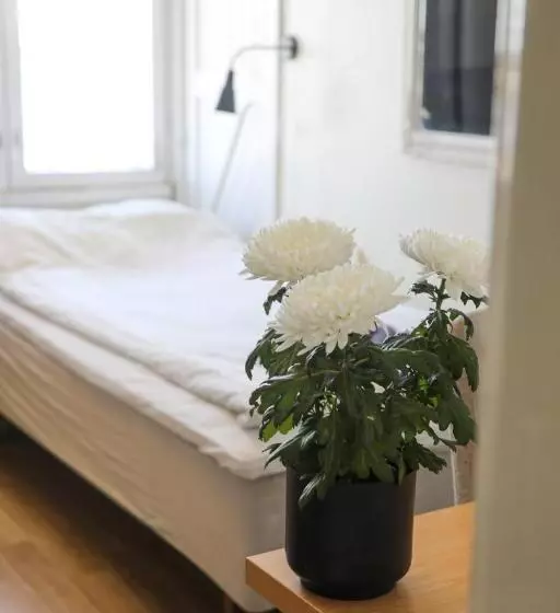 Aamiaismajoitus (B&B) Wanhan Aseman Majatalo