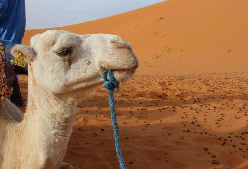 Riad Hotel Les Flamants