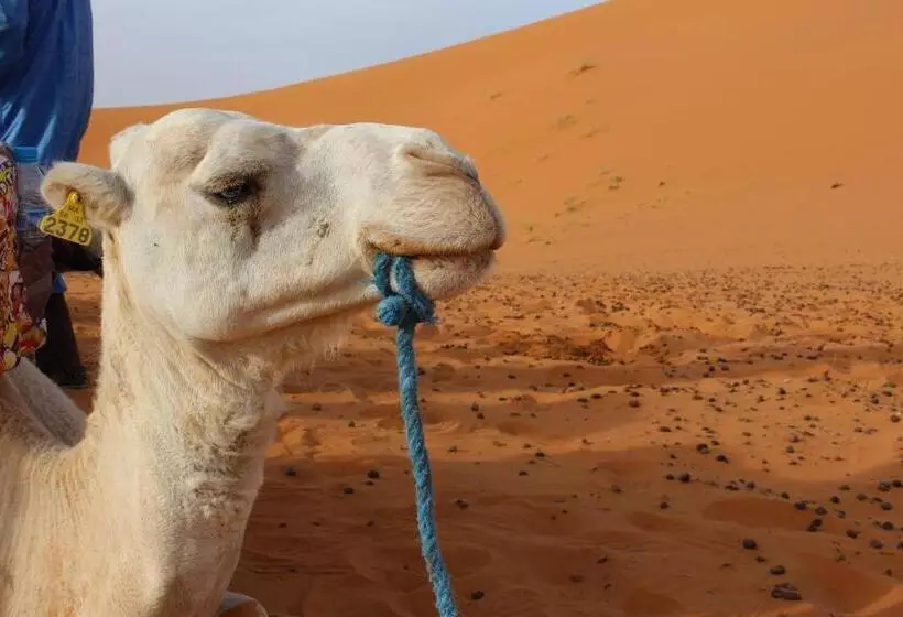 Riad Hotel Les Flamants