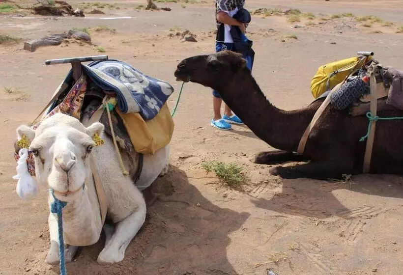 Riad Hotel Les Flamants