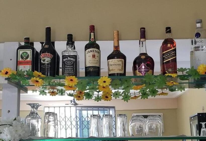 ペンション Lady M Guest House