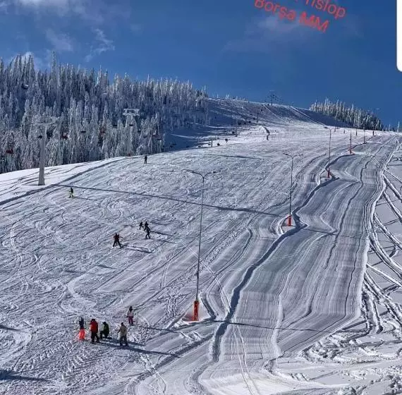 Majatalo Piatra Soimului