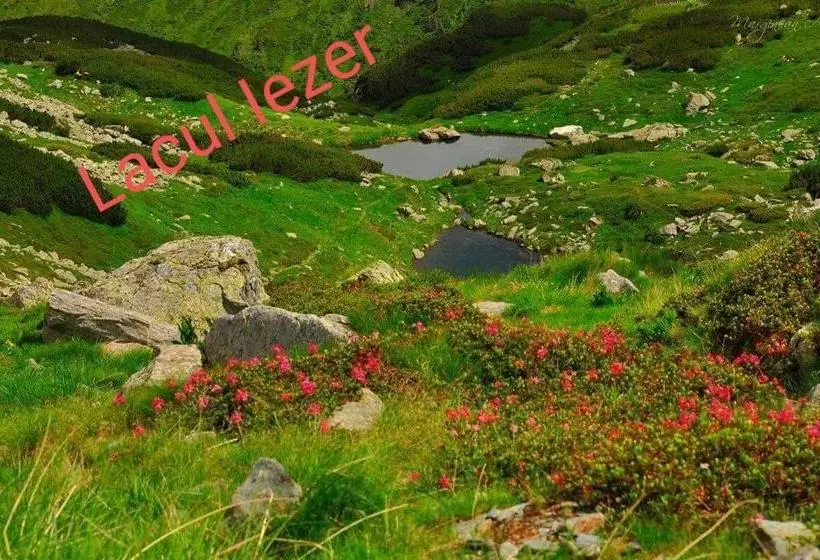 Majatalo Piatra Soimului