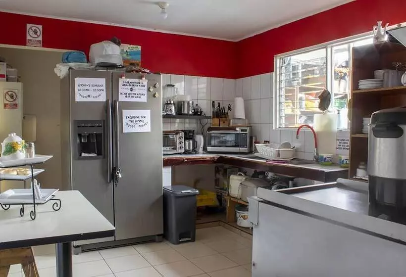 Eco Stay Hostel