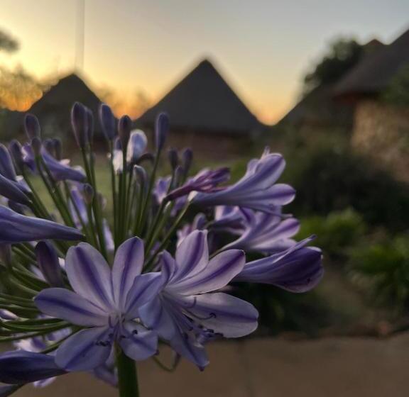 مبيت وإفطار Kwakunje Guest Lodge