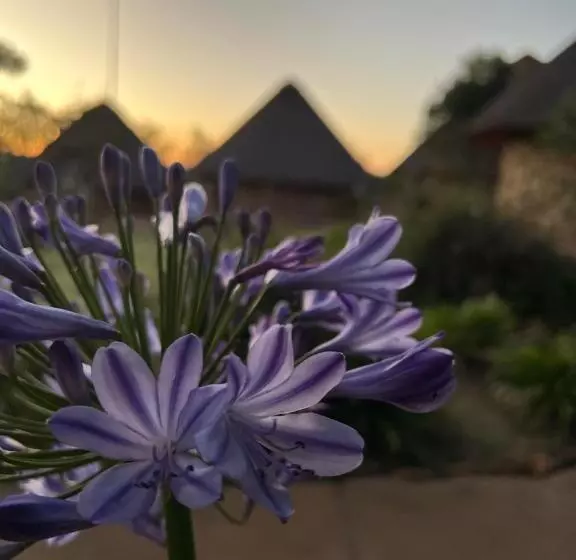 Aamiaismajoitus (B&B) Kwakunje Guest Lodge