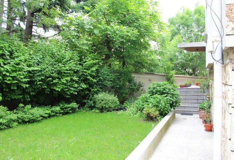 בית מלון כפרי International