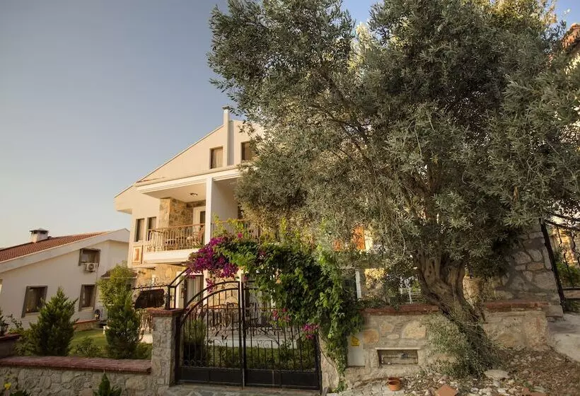 Hotel Pharos Boutique