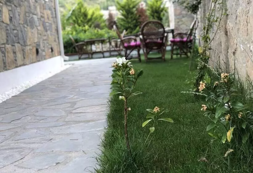 Hotel Pharos Boutique