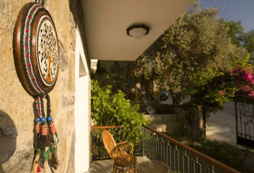 Hotel Pharos Boutique