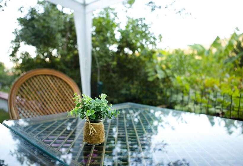 בית מלון כפרי Pharos Boutique