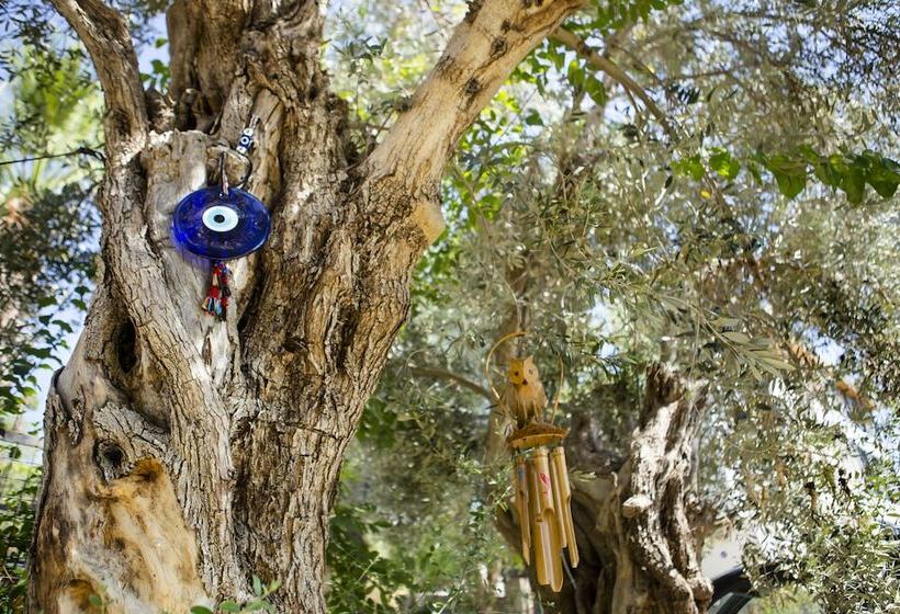 בית מלון כפרי Pharos Boutique