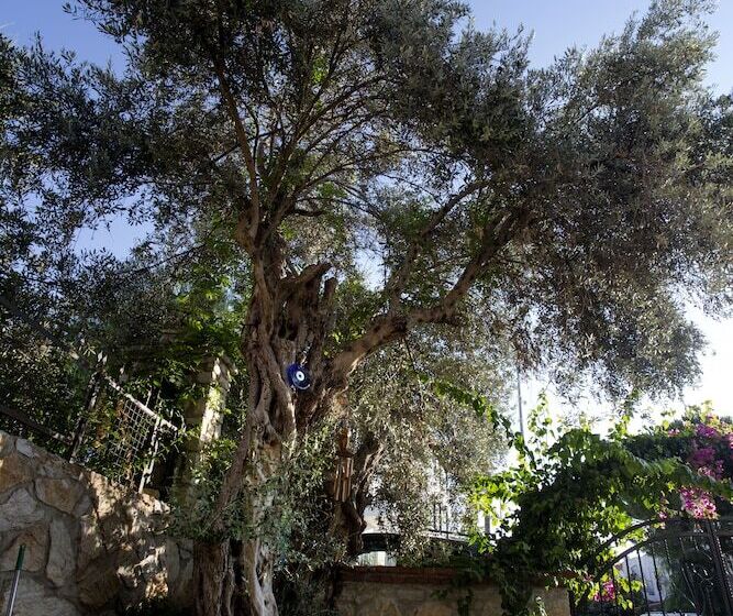 בית מלון כפרי Pharos Boutique