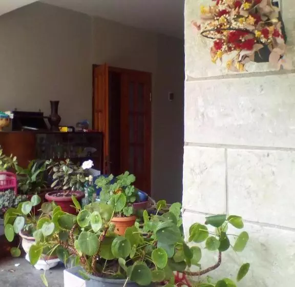 پانسیون Kapana