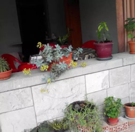 پانسیون Kapana