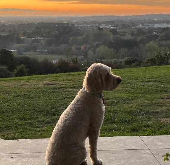 Bed and Breakfast Quail Lodge