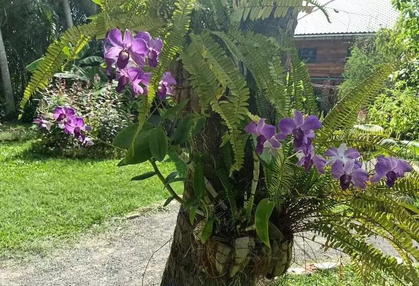 پانسیون Nary Garden