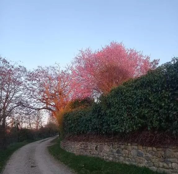 ホテル Alda Jolio Jaca