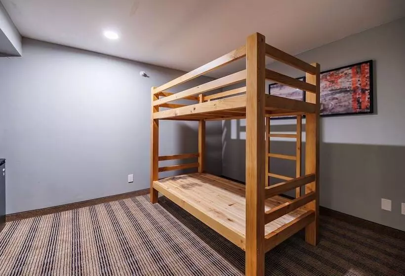 Hotel Americinn By Wyndham Omaha Near Zoo