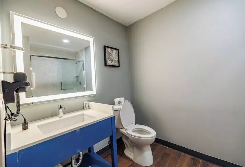 Hotel Americinn By Wyndham Omaha Near Zoo