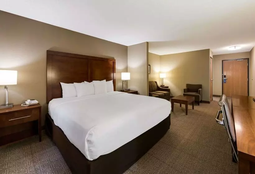 ホテル Comfort Inn East