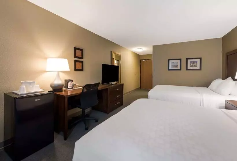 ホテル Comfort Inn East